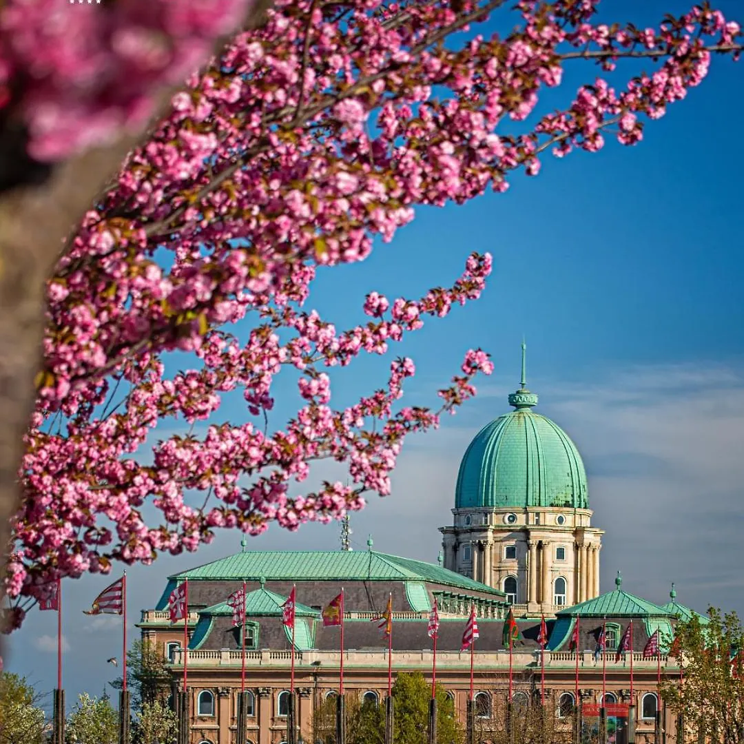 Carlton Hotel Buda Castle Budapešť